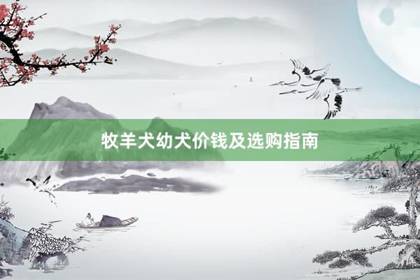 牧羊犬幼犬价钱及选购指南